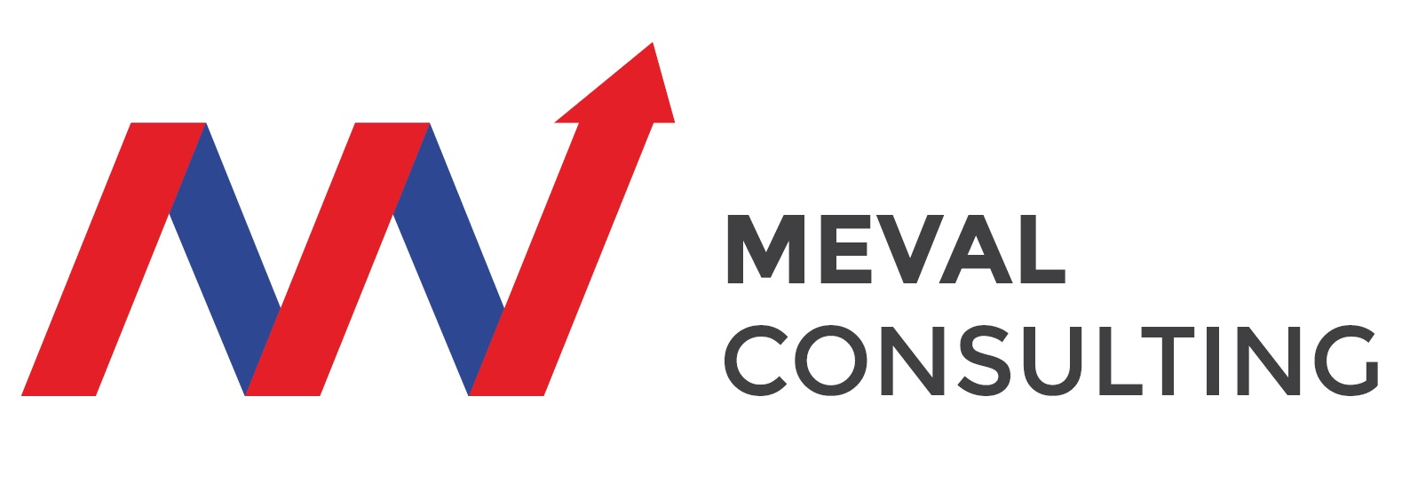 Partner A Logo